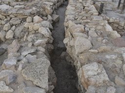 Yacimiento de la Almoloya 2023